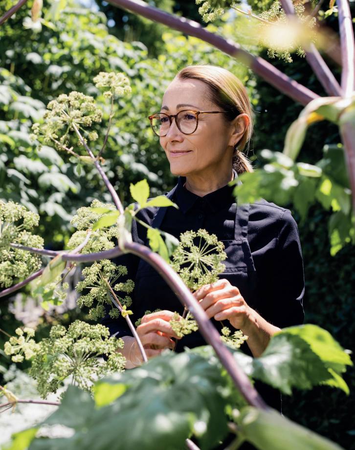 Architecture Feature