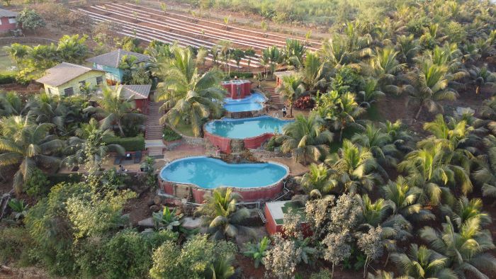 Holistic Therapy Session