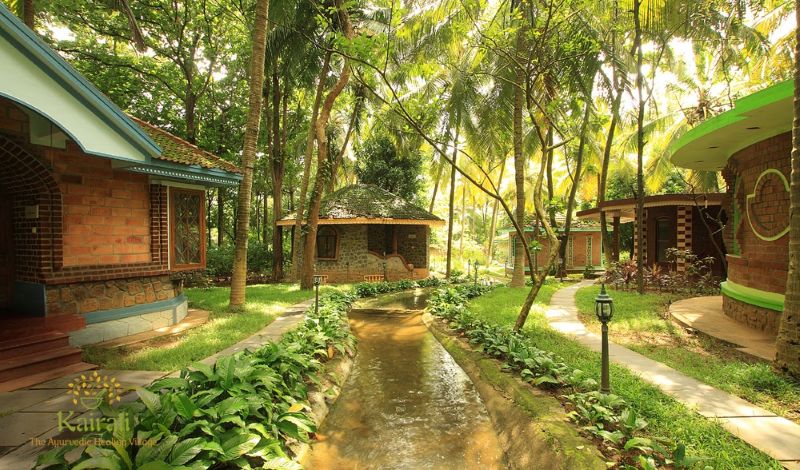 Traditional Ayurvedic Preparation