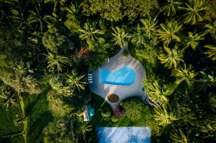 Traditional Ayurvedic Preparation