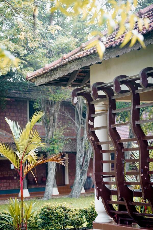 Athreya Botanica Skincare Range