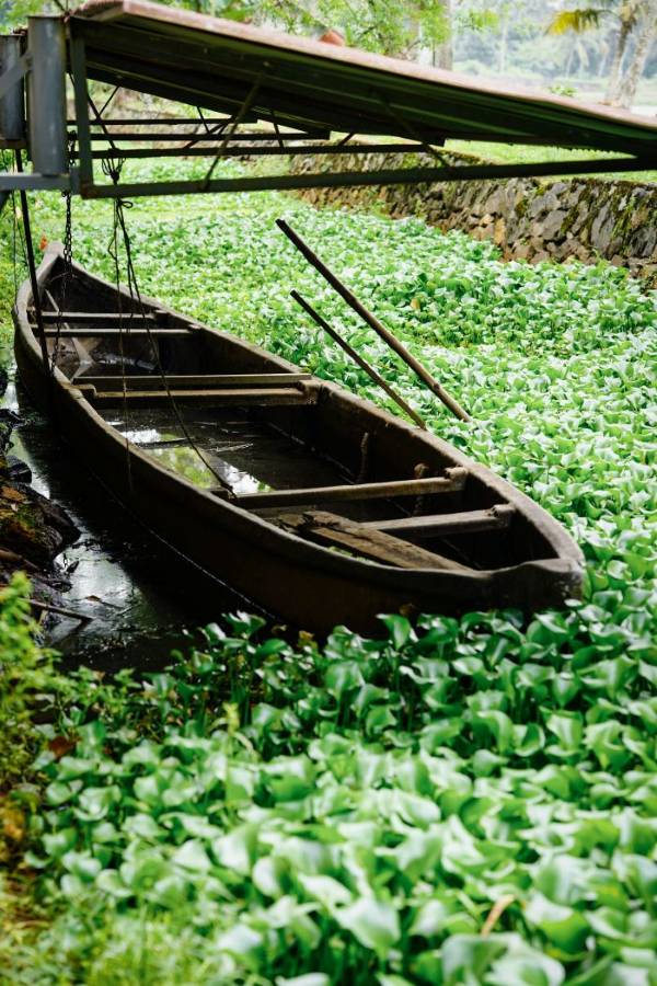 Athreya Botanica Skincare Range