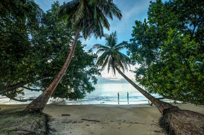 Local Architecture and Traditions