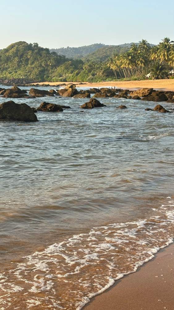 Aerial view of South Goa coastline