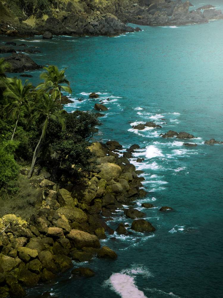 Architecture Feature