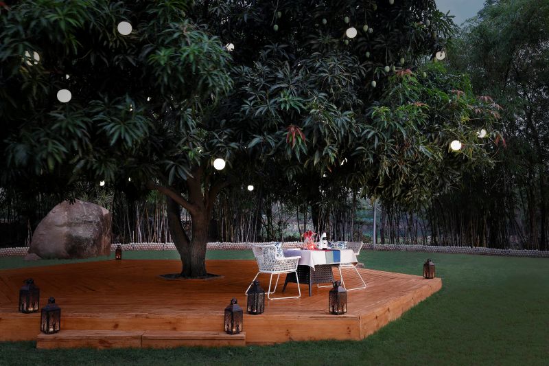 Under the Mango Tree Dining