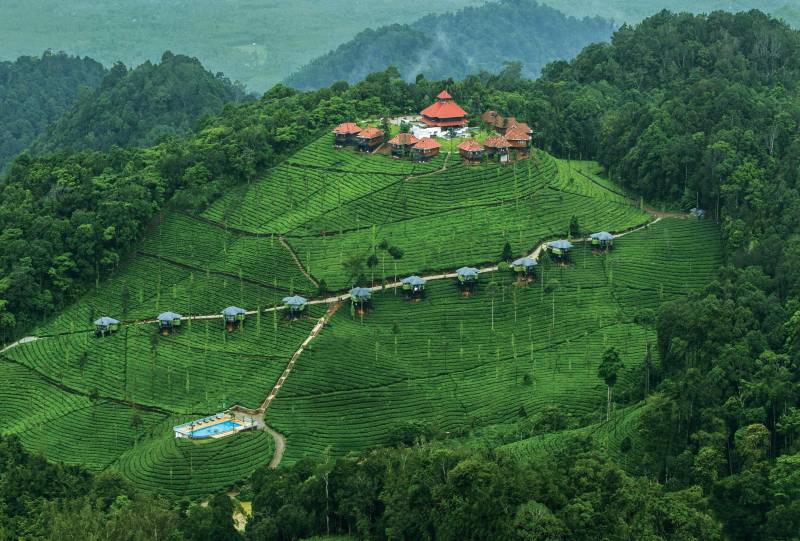 Architecture Feature